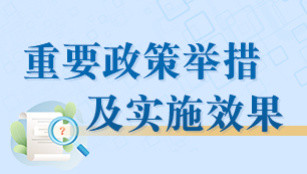 重要政策舉措及實施效果